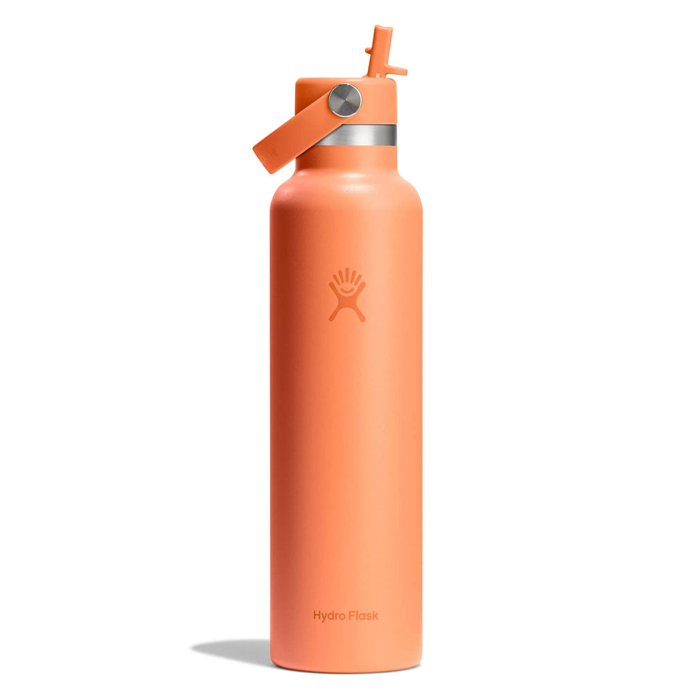24 oz Standard Mouth with Flex Straw Cap - Hydro Flask Sale