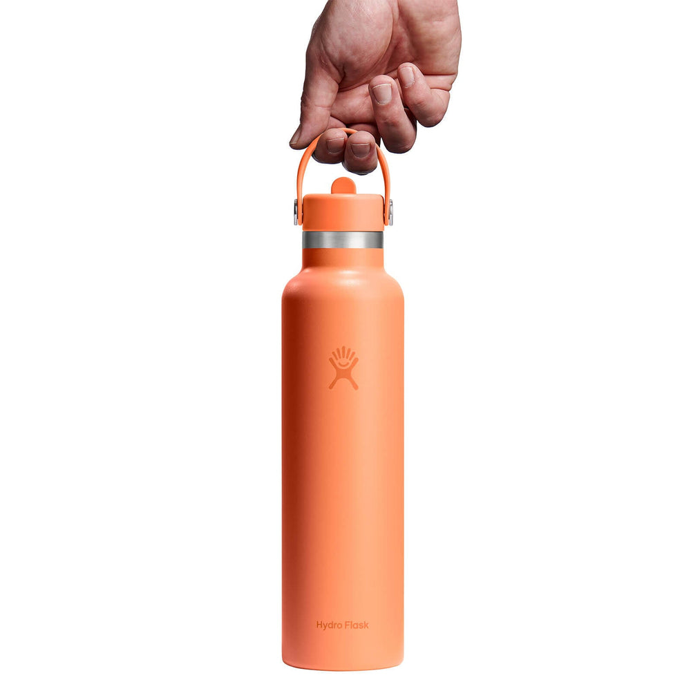 24 oz Standard Mouth with Flex Straw Cap - Hydro Flask Sale