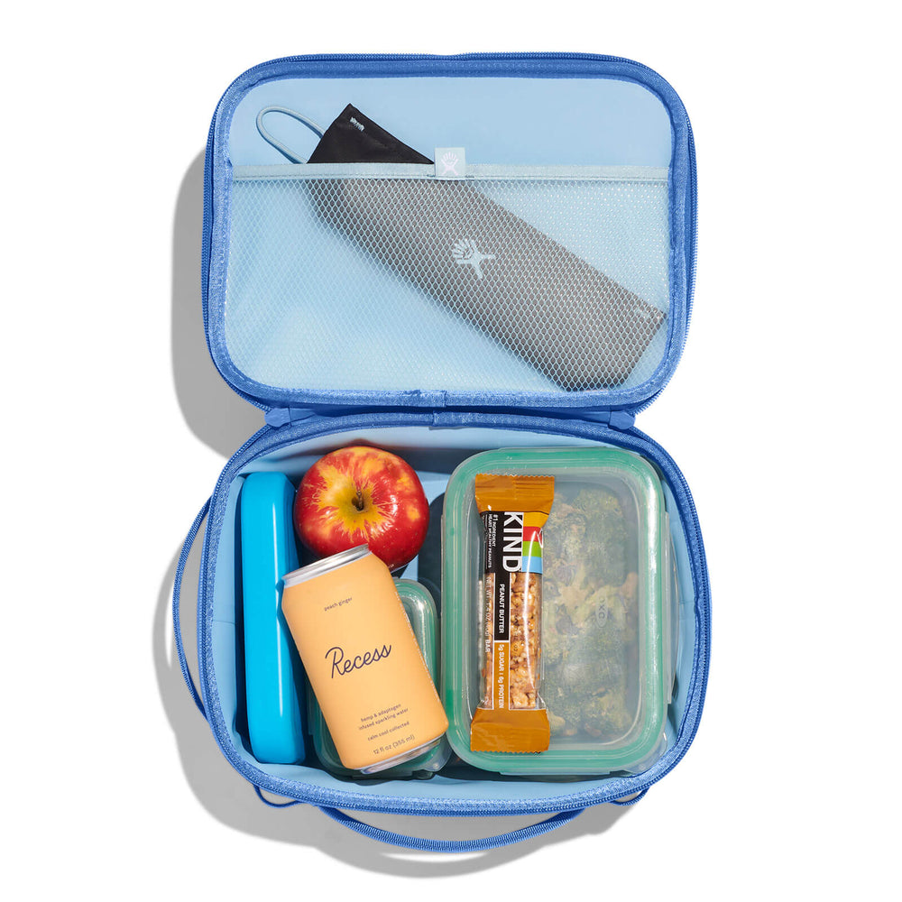 5 L Carry Out™ Lunch Box - Hydro Flask Online