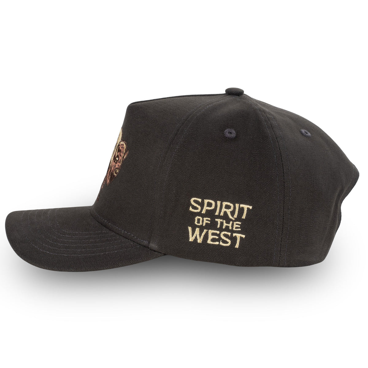 American Buffalo Hat