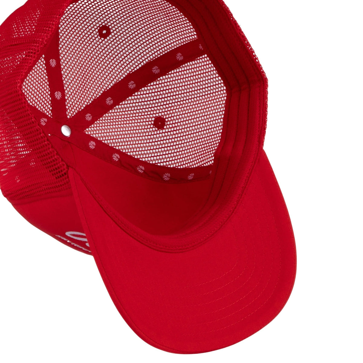 Logo Hat